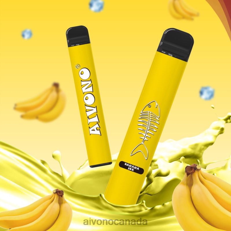 Aivono AIM FISHBONE 600 Banana Ice RBX2X276 - Aivono Canada