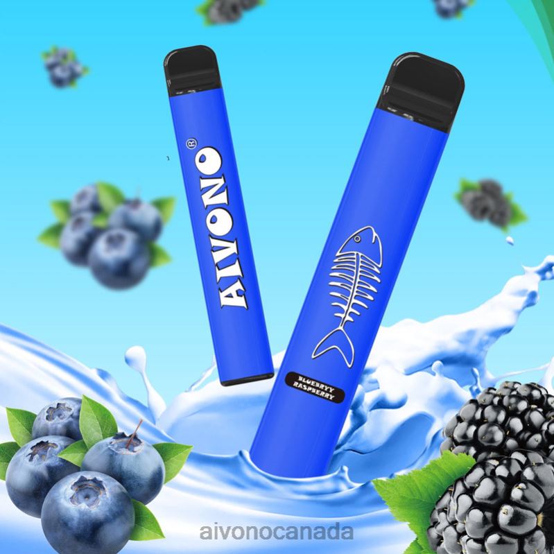 Aivono AIM FISHBONE 600 Blueberry Raspberry RBX2X281 - Aivono Vape
