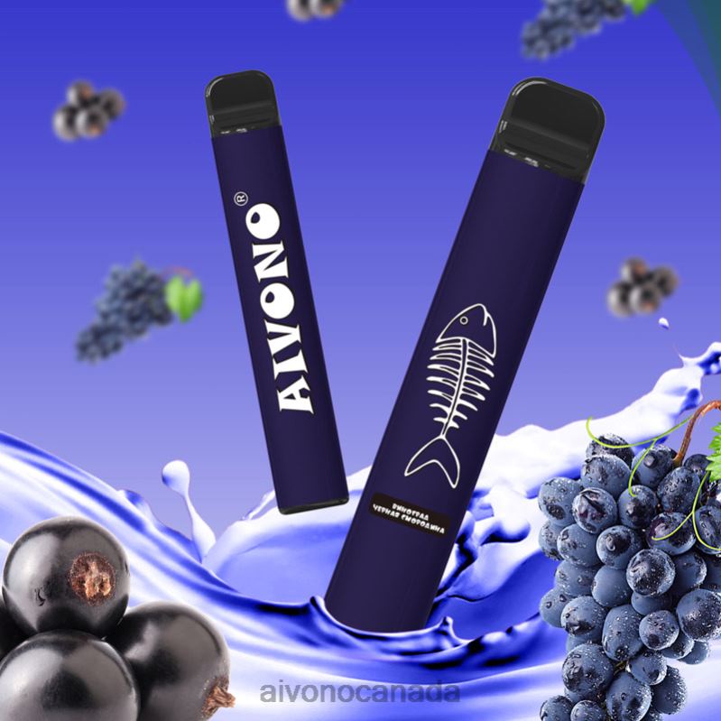 Aivono AIM FISHBONE 600 Grape Blackcurrant RBX2X284 - Aivono Canada