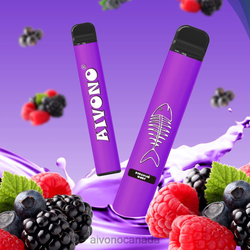 Aivono AIM FISHBONE 600 Mixed Berry RBX2X285 - Aivono Vape