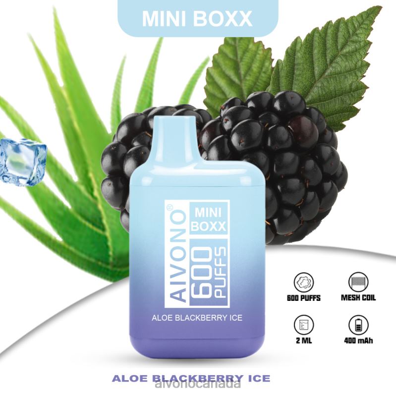 Aivono AIM MINI BOXX 600 Aloe Current Ice RBX2X240 - Aivono Canada
