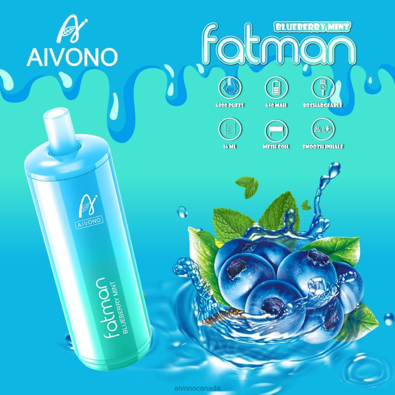 Aivono FATMAN 6800 Blueberry Mint RBX2X22 - Aivono Vape Review