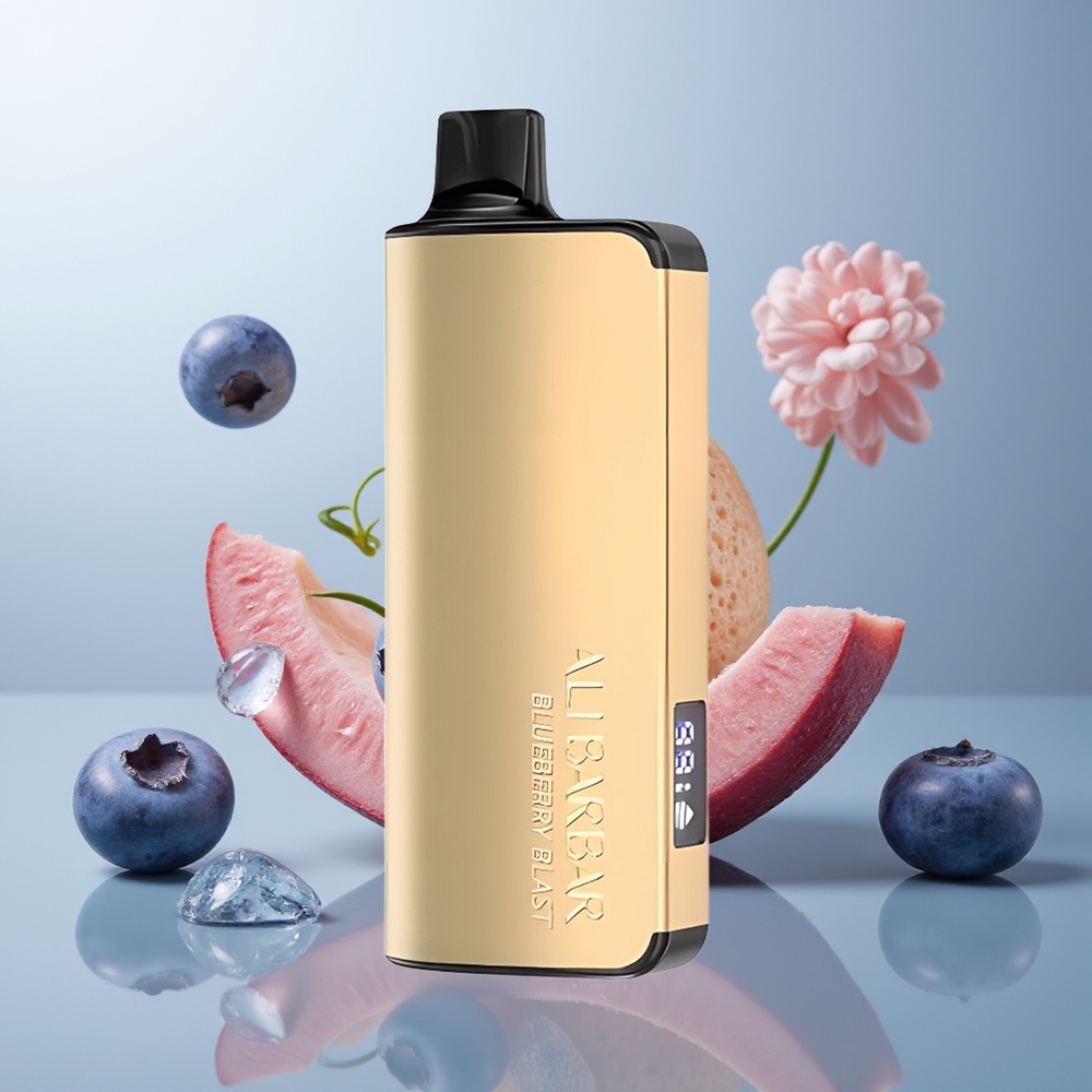 Wholesale Canada Alibarbar Ingot 9000 Puffs 22ml LED Display Blueberry Blast