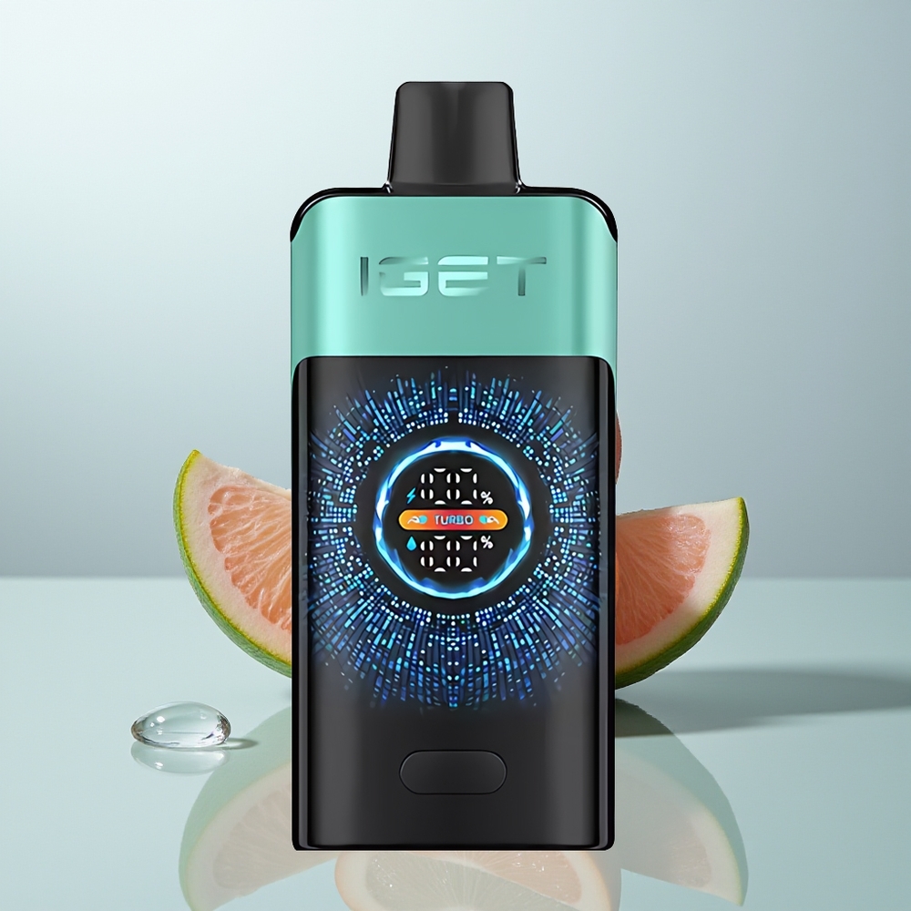 Wholesale Canada IGET ONE 12000 Puffs 2700 mAh Large Curved Color Screen Mountain Spring Mint Ice