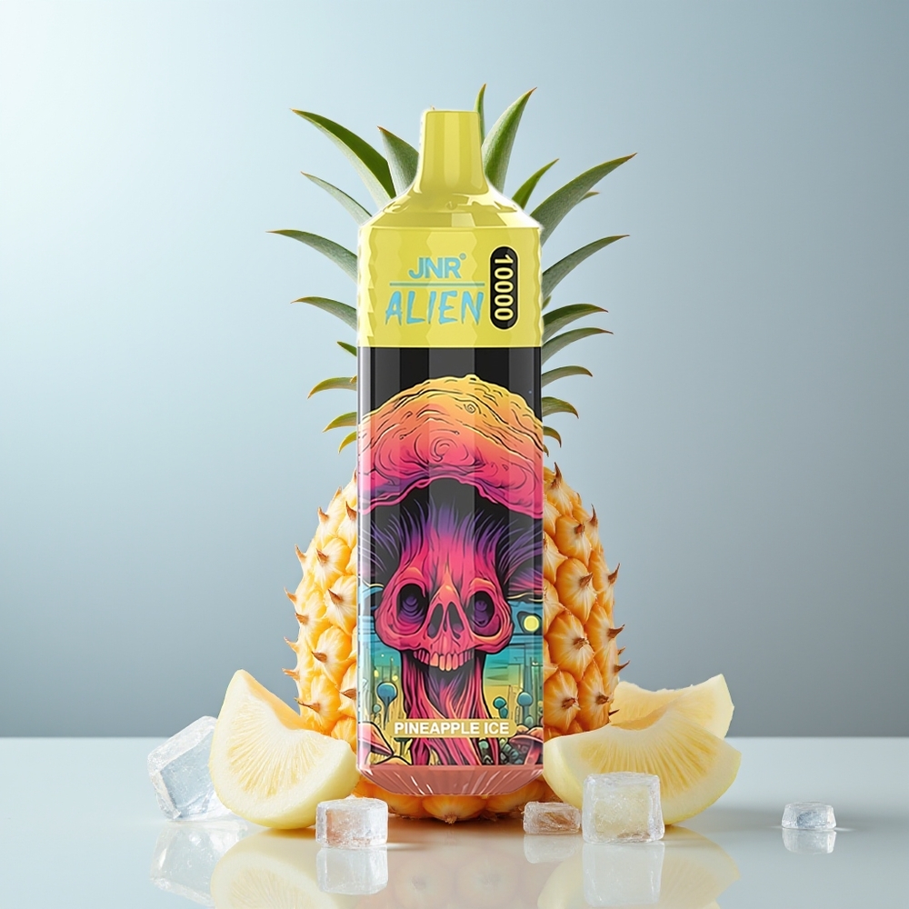 Wholesale Canada JNR Alien 10000 Puffs 850mAh Type-C Pineapple Ice