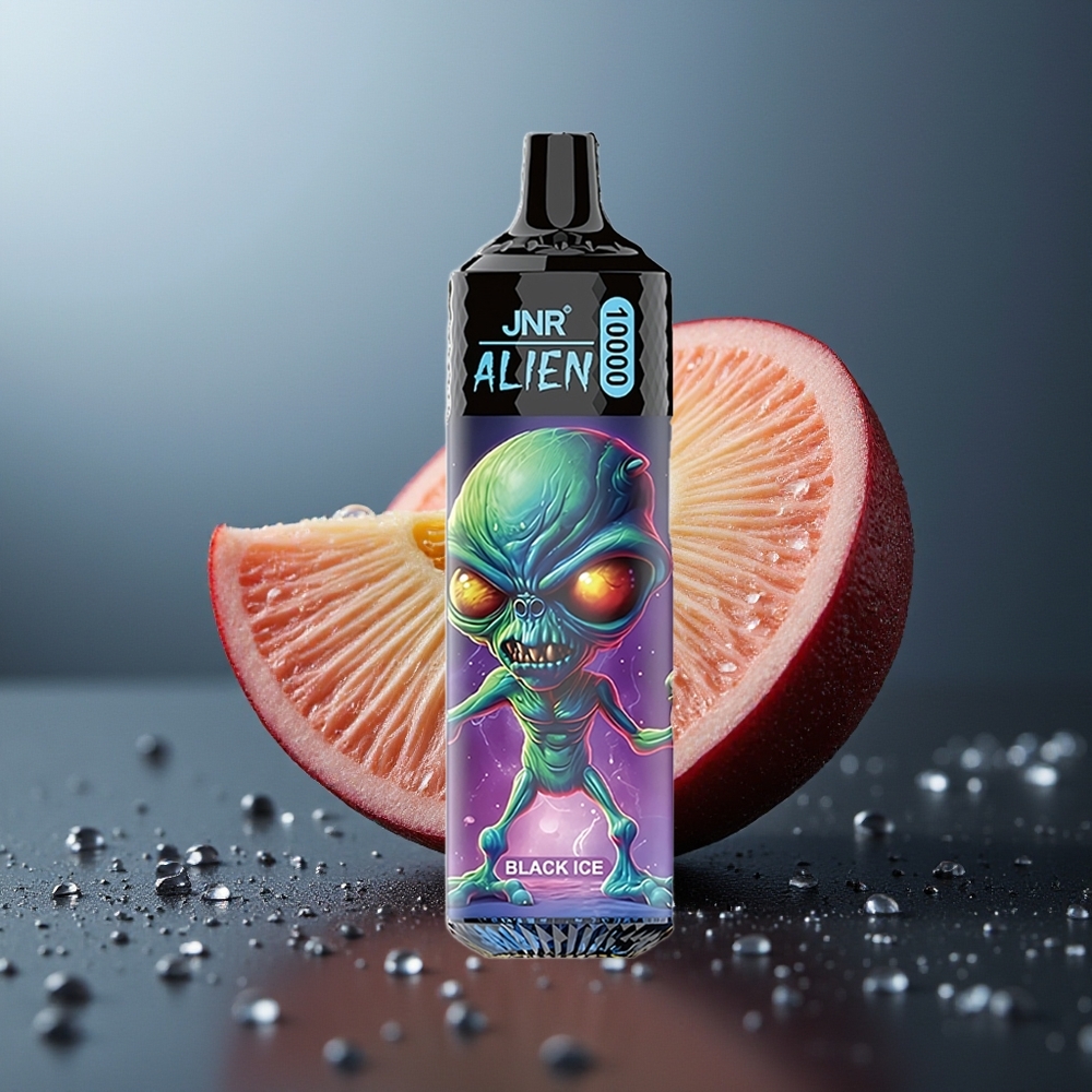 Wholesale Canada JNR Alien 10000 Puffs 850mAh Type-C Quick Charge Black Ice
