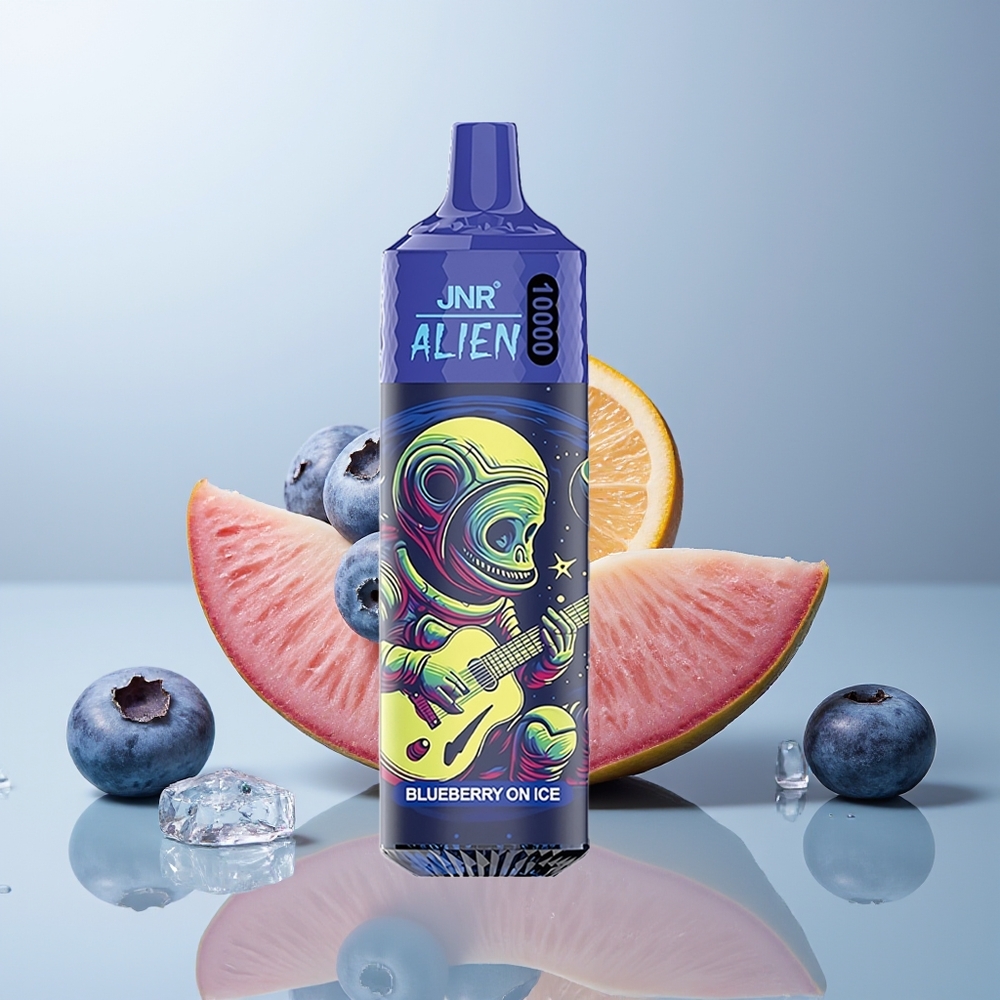 Wholesale Canada JNR Alien 10000 Puffs 850mAh Type-C Quick Charge Blueberry On Ice