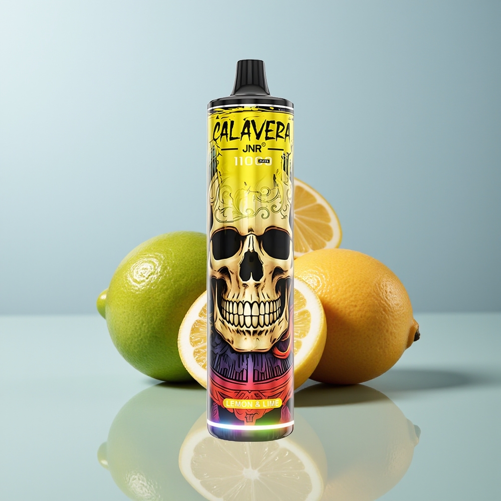 Wholesale Canada JNR Calavera 11000 Puffs 850mAh 21ml Lemon  Lime Disposable Vape