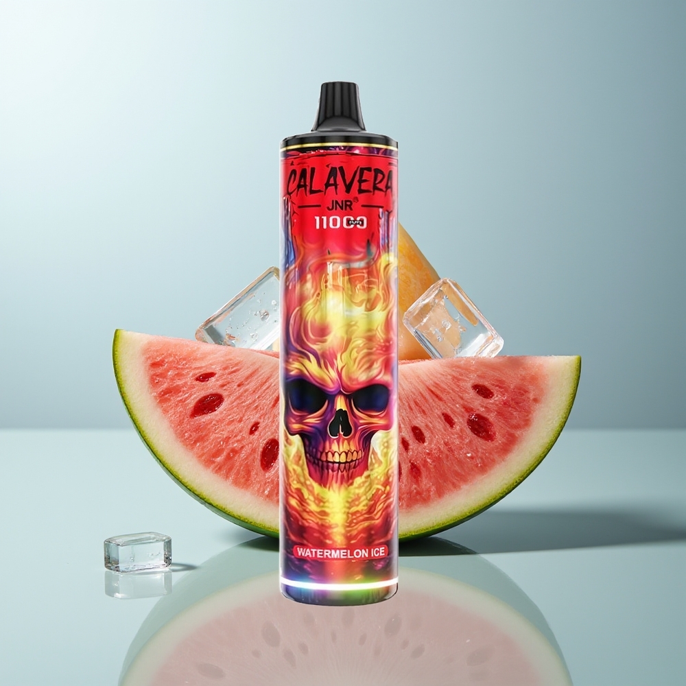 Wholesale Canada JNR Calavera 11000 Puffs 850mAh 21ml Watermelon Ice Disposable Vape