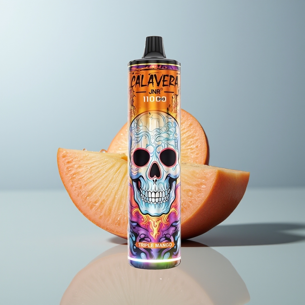Wholesale Canada JNR Calavera 11000 Puffs 850mAh Type-C Triple Mango