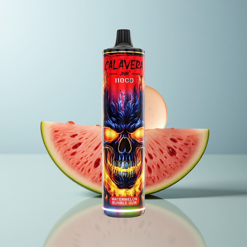 Wholesale Canada JNR Calavera 11000 Puffs 850mAh Type-C Watermelon Bubble Gum
