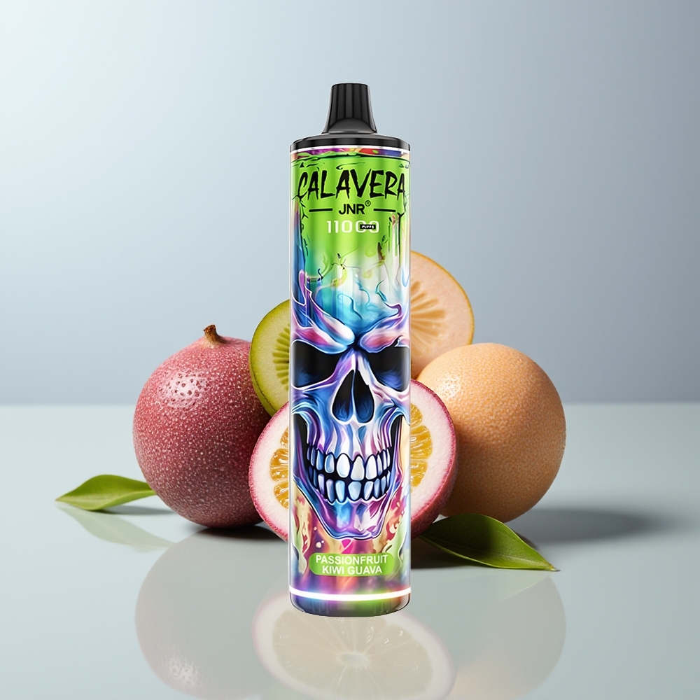 Wholesale Canada JNR Calavera 11000 Puffs Mesh Coil 21ml Passionfruit Kiwi Guava Disposable Vape