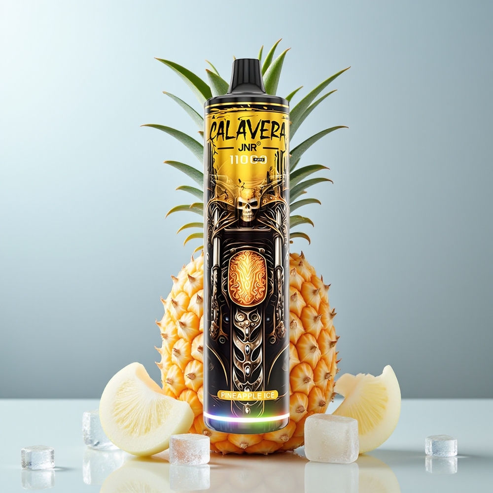 Wholesale Canada JNR Calavera 11000 Puffs Mesh Coil Pineapple Ice