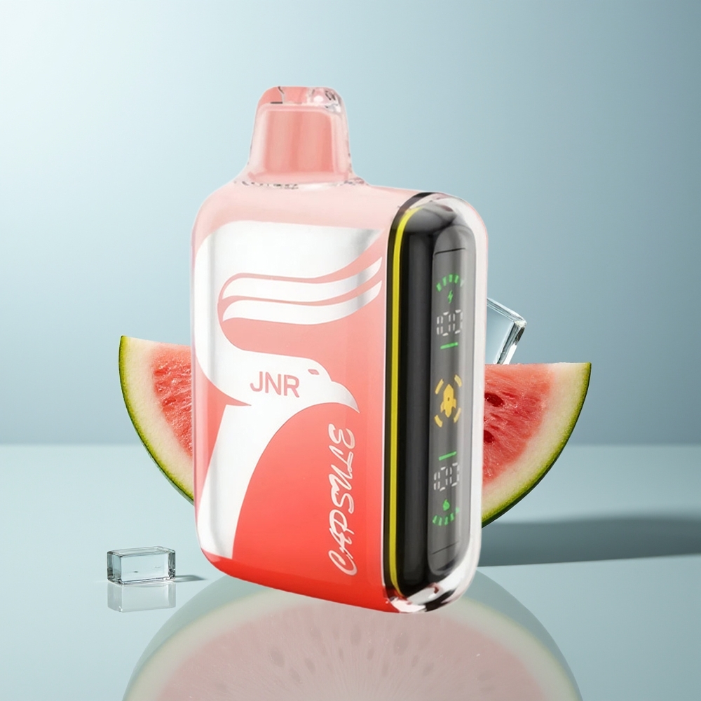 Wholesale Canada JNR Capsule 15000 Puffs 850mAh Dual Mesh Coil Watermelon Brazz Ice