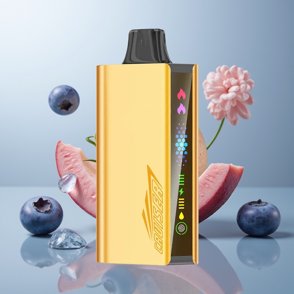Wholesale Canada JNR Cruiser 12000 Puffs Dual-Mesh Full-Metal Blueberry Blast