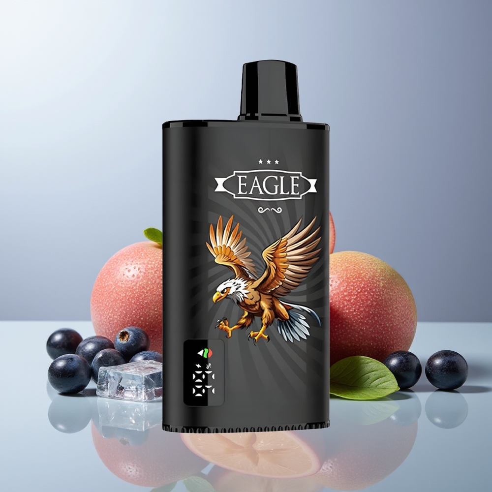 Wholesale Canada JNR EAGLE Smart 23000 Puffs 25ml 2 Nicotine Blackcurrant Mango Ice Disposable Vape