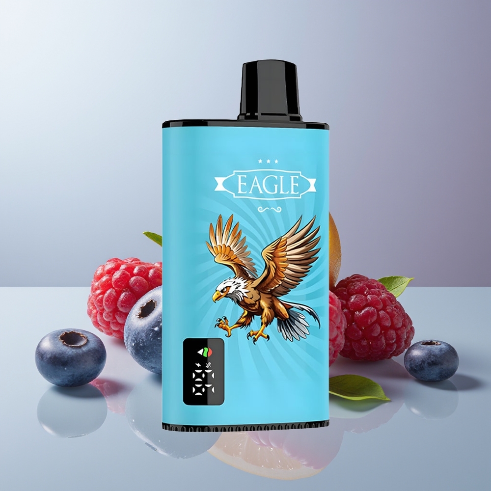 Wholesale Canada JNR EAGLE Smart 23000 Puffs Digital Screen Adjustable Airflow Blueberry Sour Raspberry