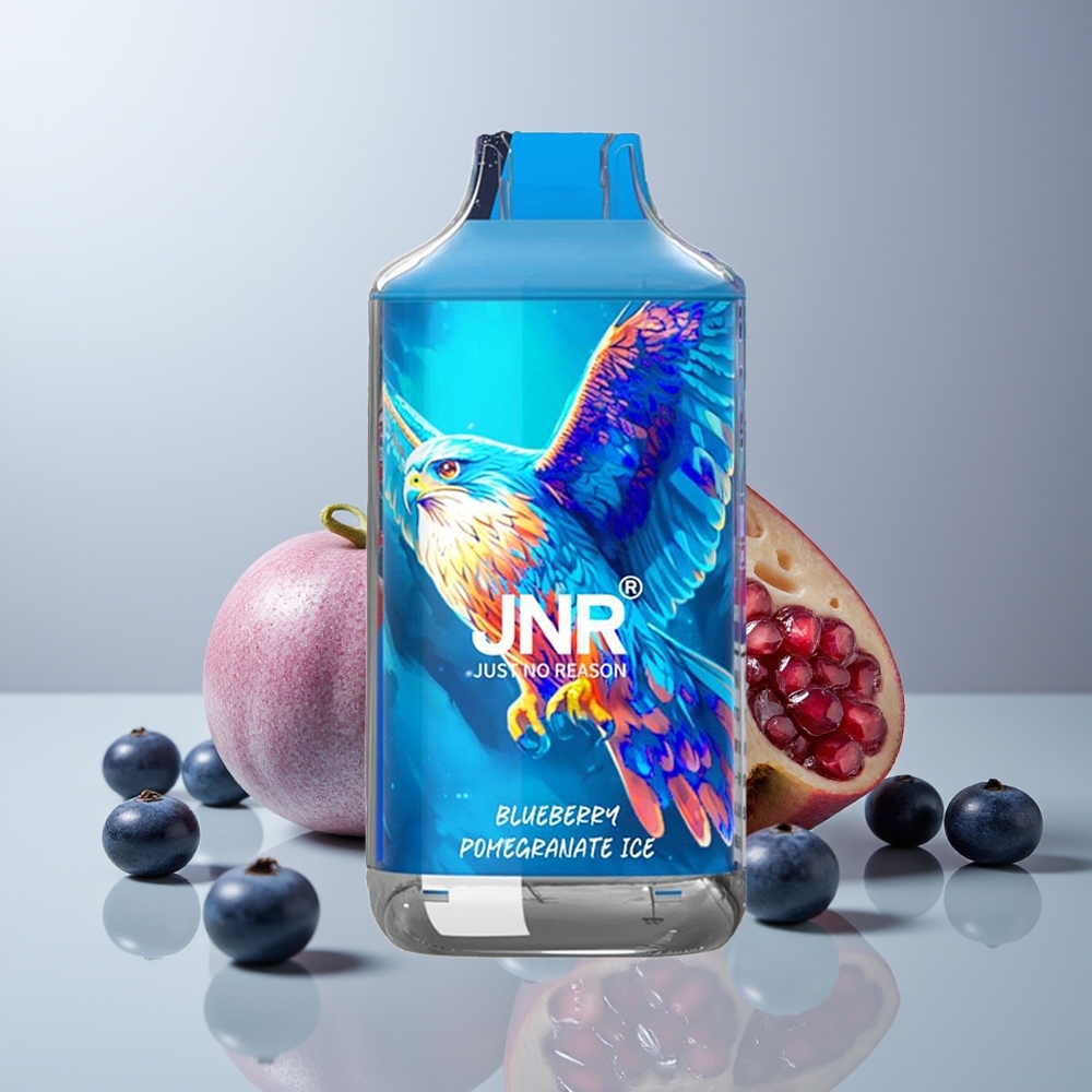 Wholesale Canada JNR Falcon 16000 Puffs 22ml Blueberry Pomegranate Ice