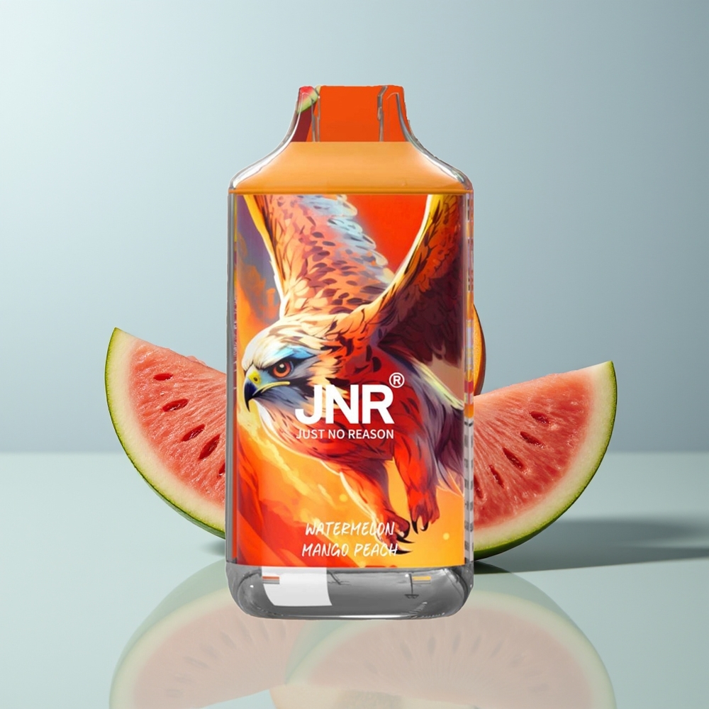 Wholesale Canada JNR Falcon 16000 Puffs 22ml Watermelon Mango Peach