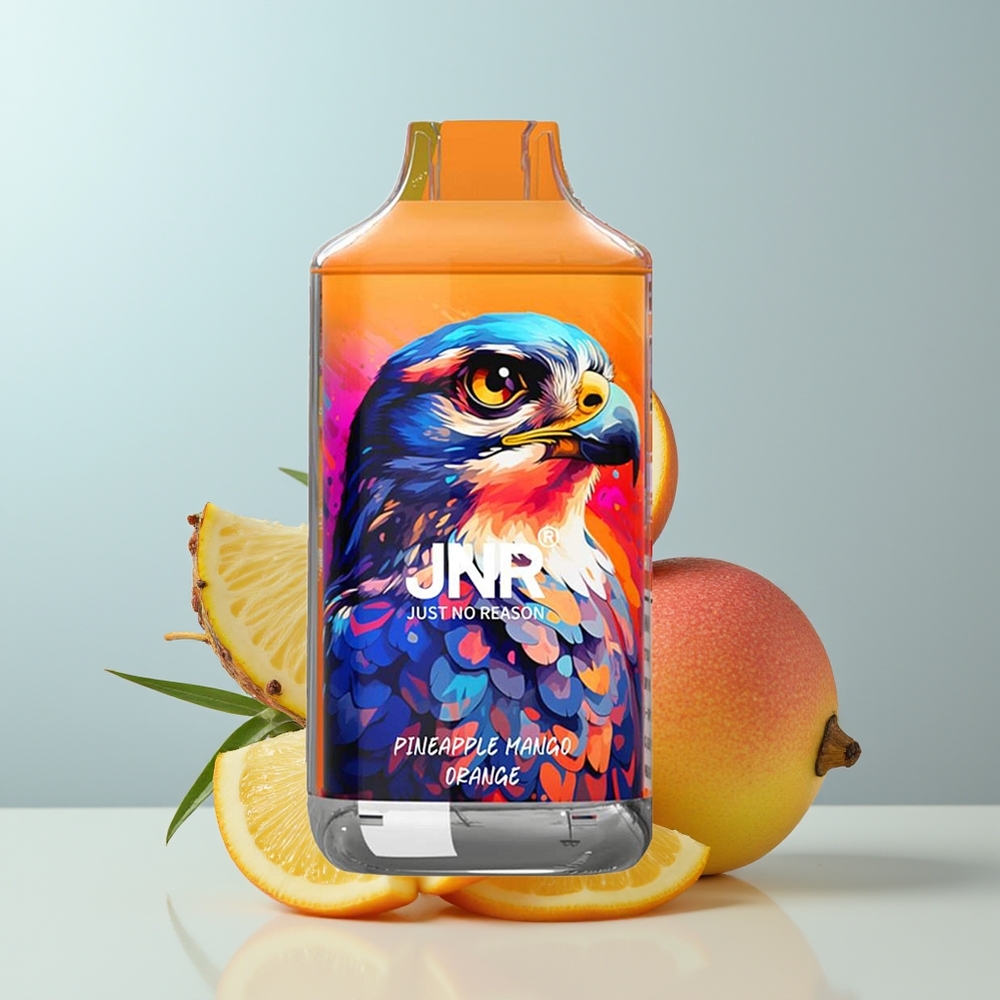 Wholesale Canada JNR Falcon 16000 Puffs 850 mAh Pineapple Mango Orange