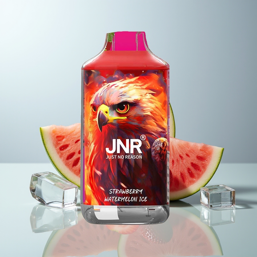 Wholesale Canada JNR Falcon 16000 Puffs 850 mAh Strawberry Watermelon Ice