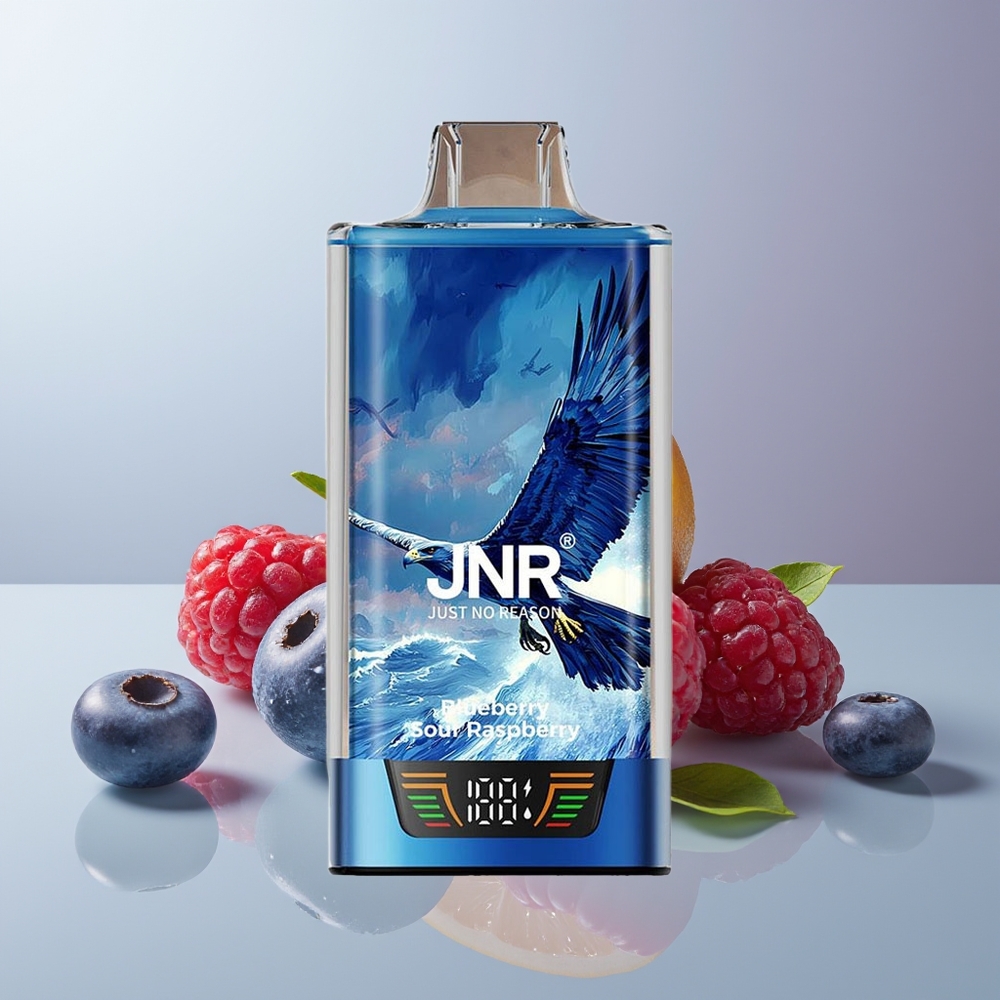 Wholesale Canada JNR Falcon Pro 28000 30ml Dual Mesh Blueberry Sour Raspberry