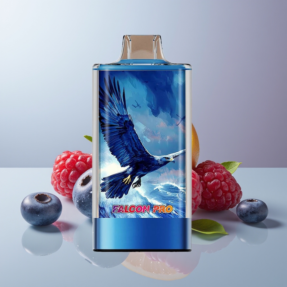 Wholesale Canada JNR Falcon Pro 28000 30ml Dual Mesh Blueberry Sour Raspberry