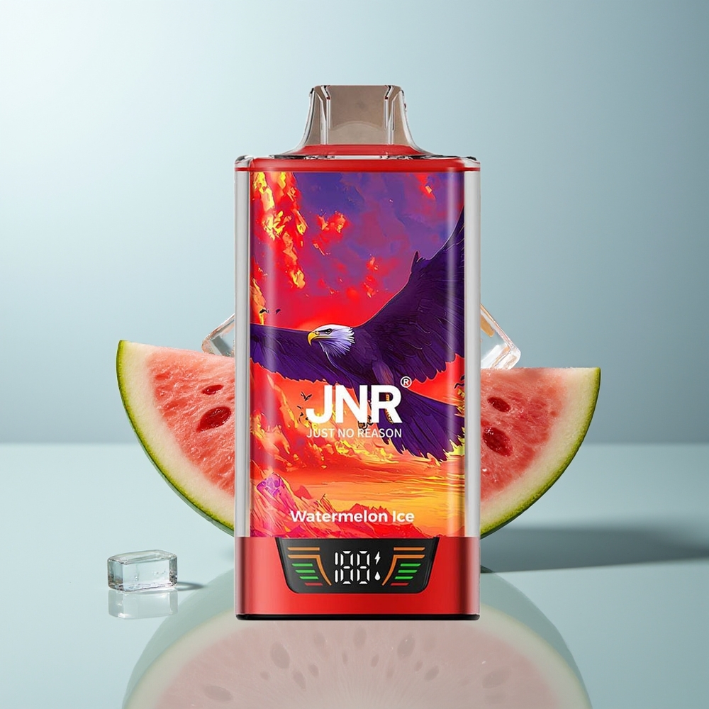 Wholesale Canada JNR Falcon Pro 28000 Puffs 30ml Watermelon Ice