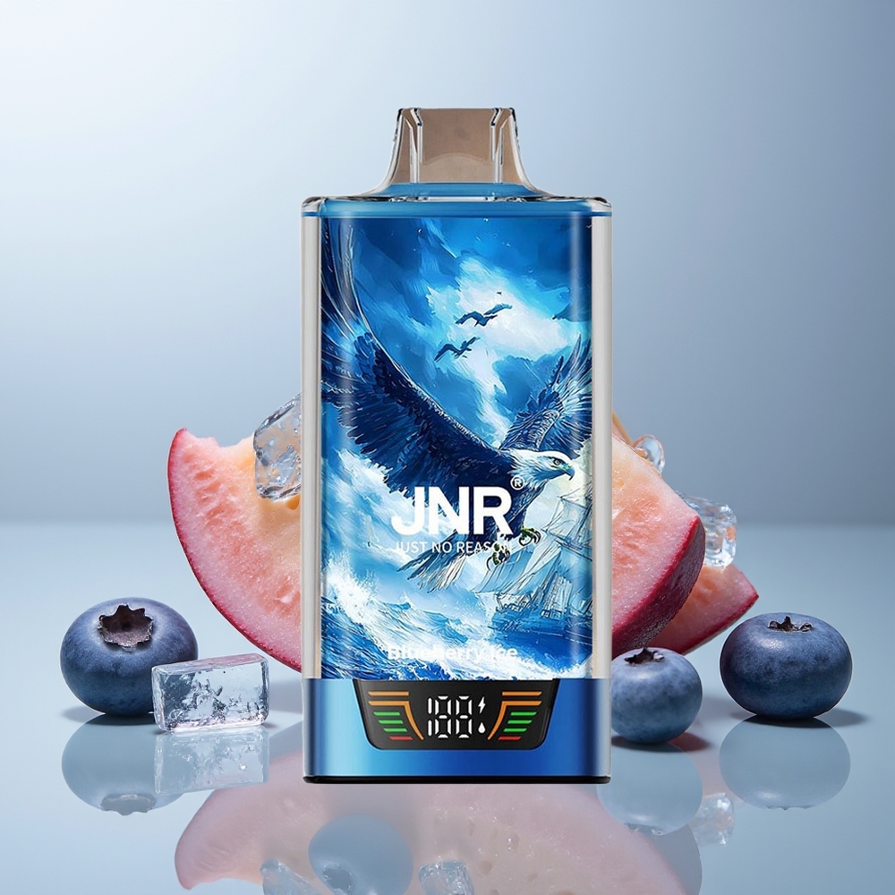 Wholesale Canada JNR Falcon Pro 28000 Puffs USB Type-C Blueberry Ice