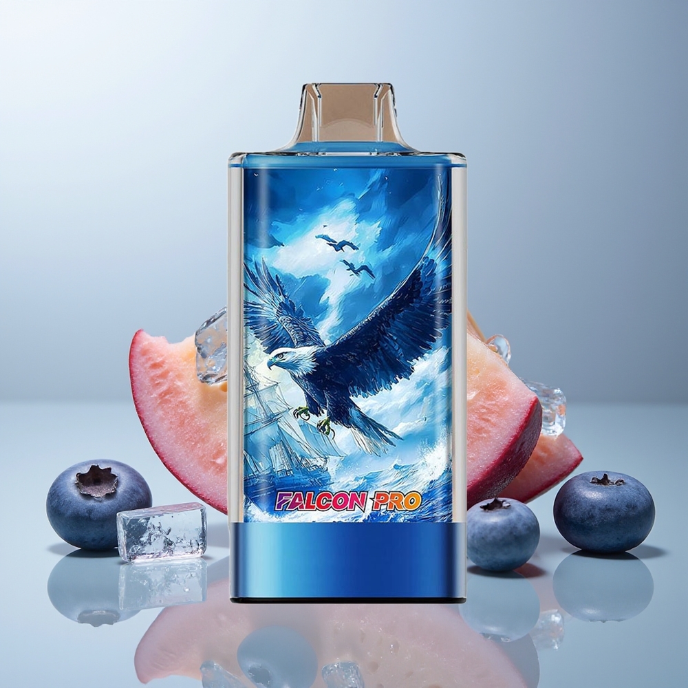 Wholesale Canada JNR Falcon Pro 28000 Puffs USB Type-C Blueberry Ice