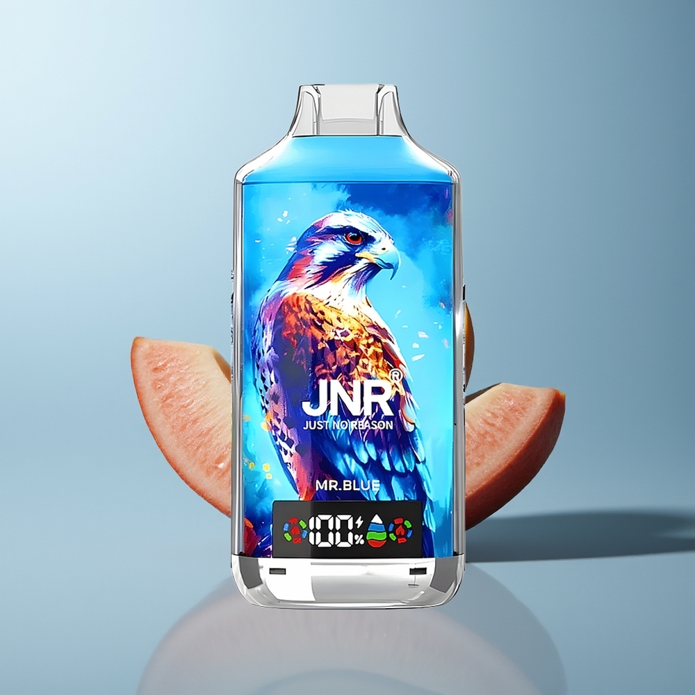 Wholesale Canada JNR Falcon X 18000 Puffs 24ml Dual Mesh Mr Blue