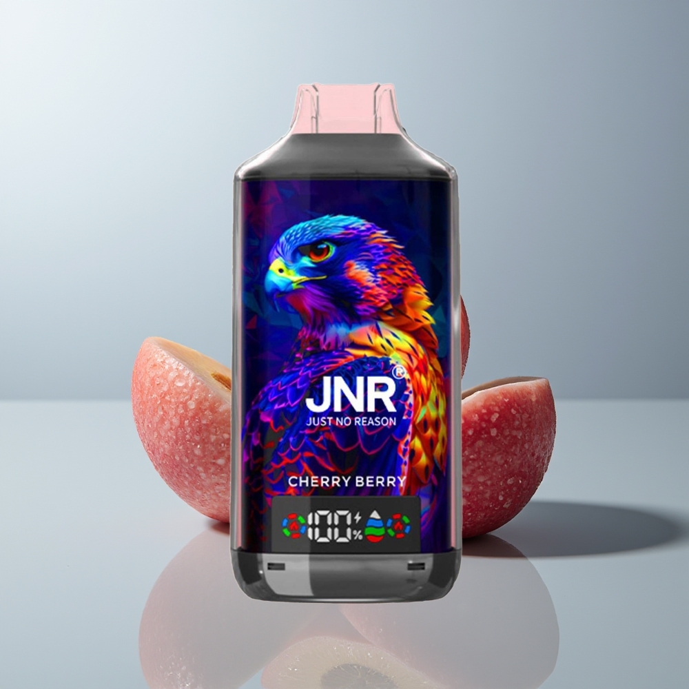 Wholesale Canada JNR Falcon X 18000 Puffs Dual Mesh Cherry Berry
