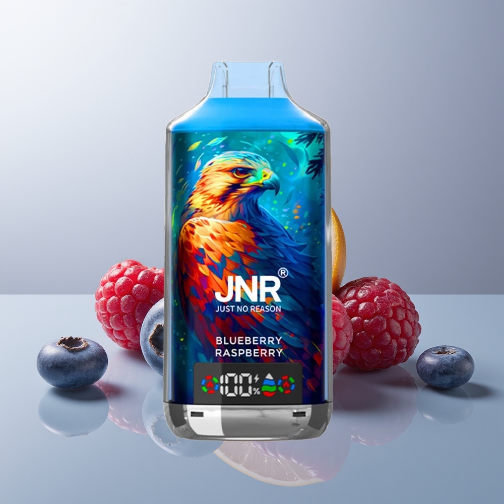 Wholesale Canada JNR Falcon X 18000 Puffs Dual Mesh Coil Blueberry Raspberry Disposable Vape