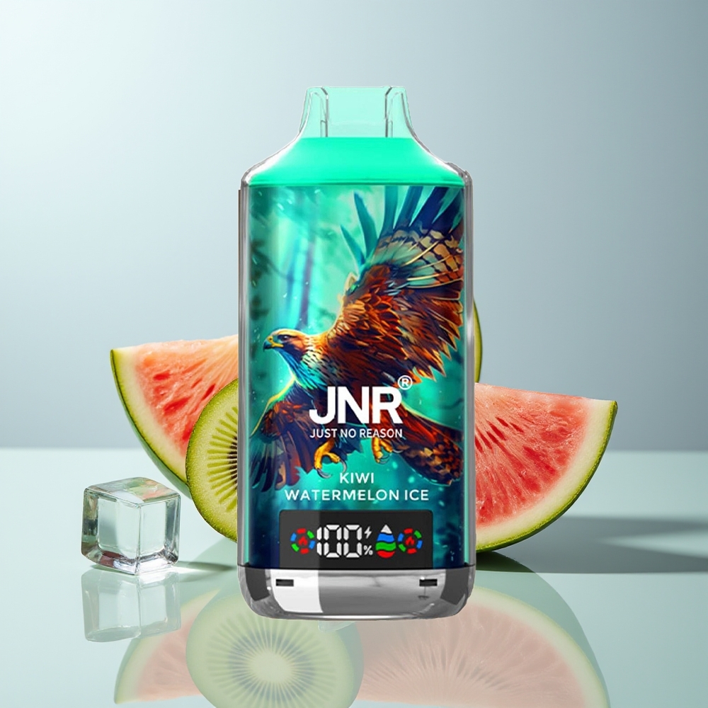 Wholesale Canada JNR Falcon X 18000 Puffs Dual Mesh Coil Kiwi Watermelon Ice