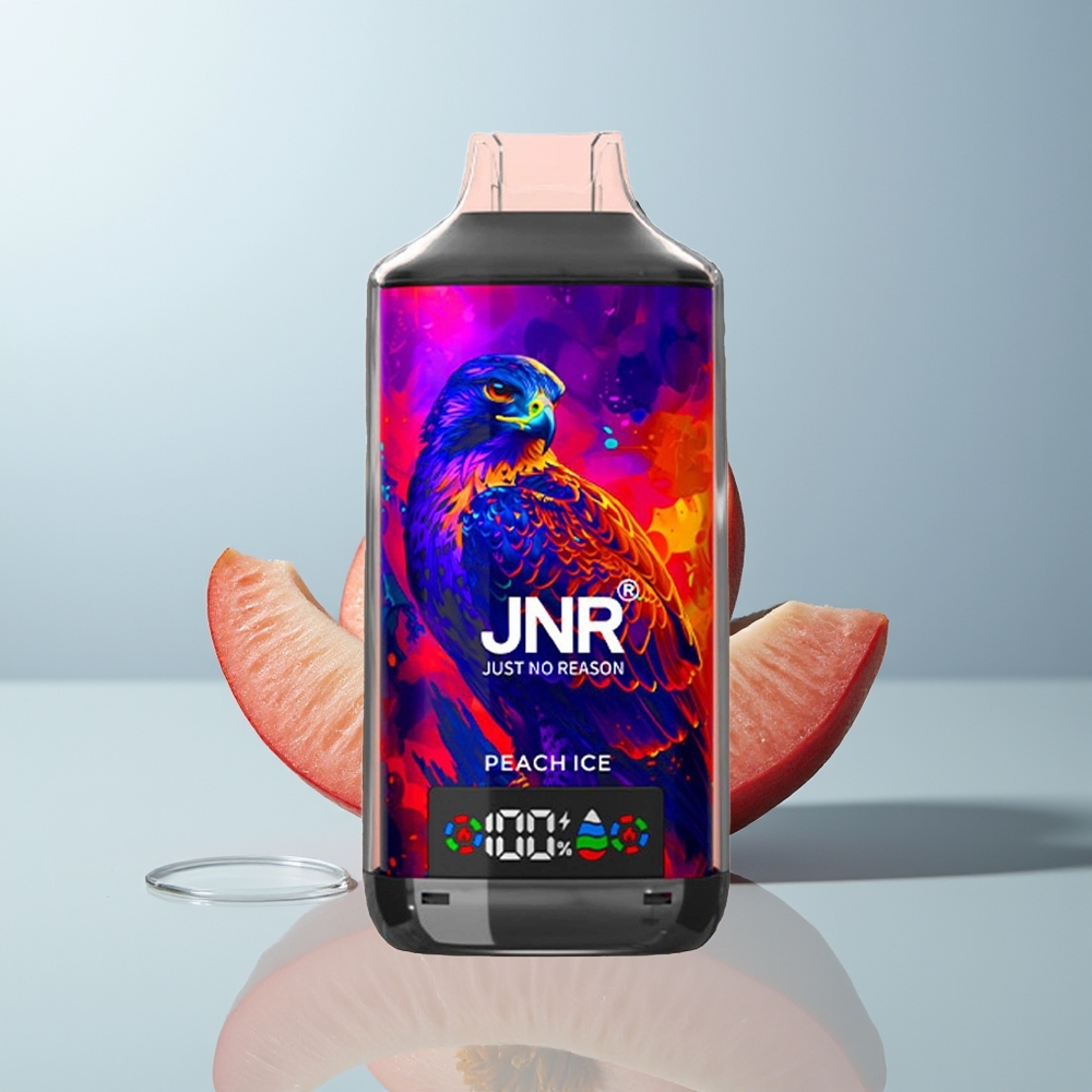 Wholesale Canada JNR Falcon X 18000 Puffs Dual Mesh Peach Ice