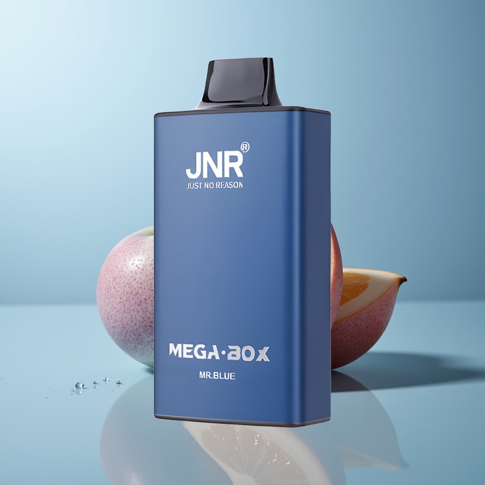 Wholesale Canada JNR Mega Box 25000 Puffs Dual Mesh Coil Mr Blue