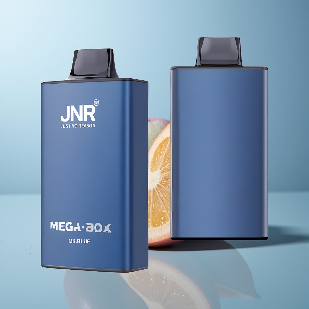 Wholesale Canada JNR Mega Box 25000 Puffs Dual Mesh Coil Mr Blue