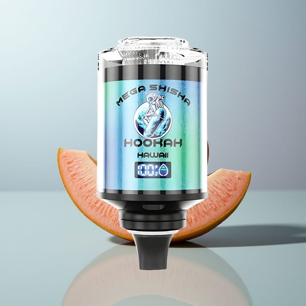 Wholesale Canada JNR Mega Shisha Hookah 100K 2200mAh Desktop Compatibility Hawaii