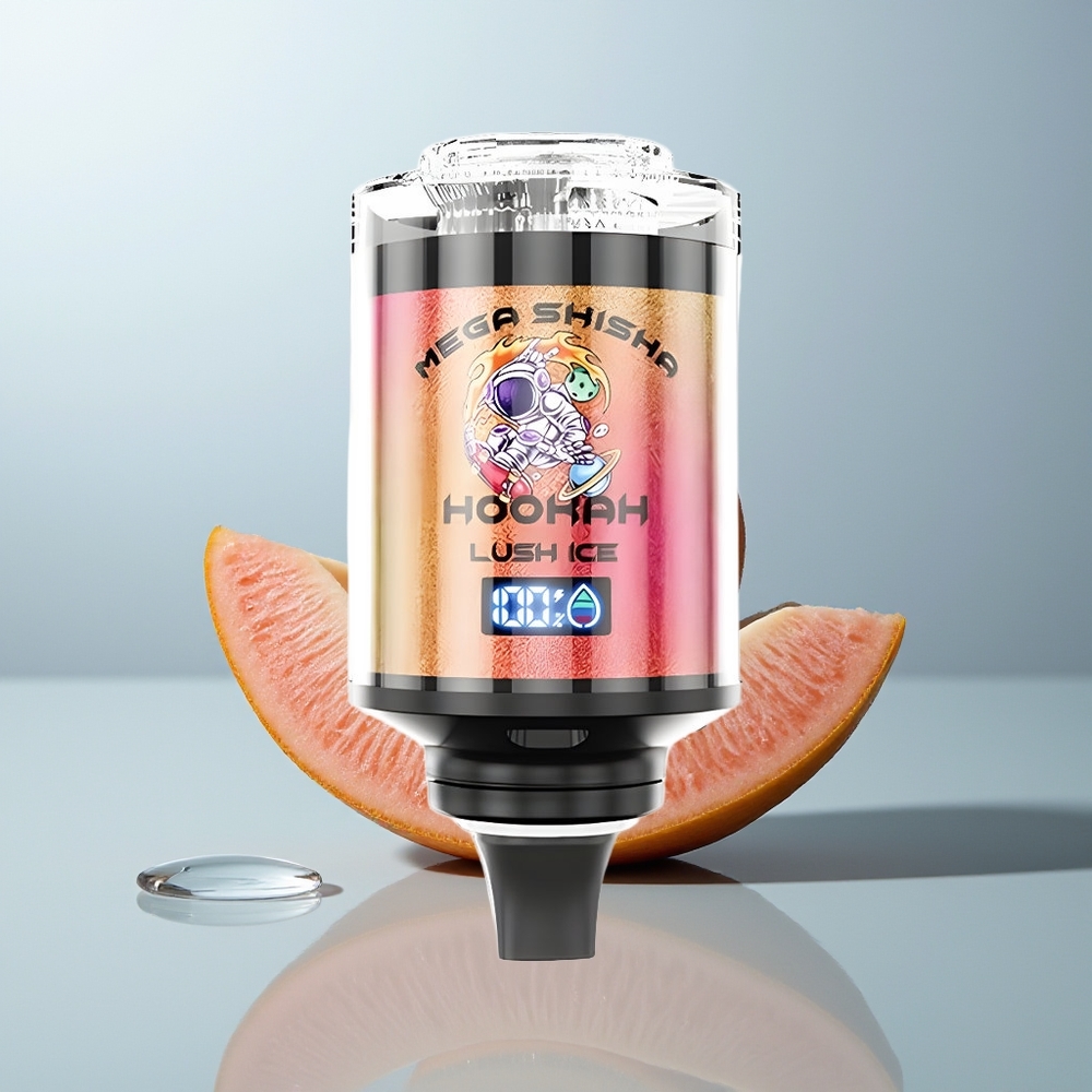 Wholesale Canada JNR Mega Shisha Hookah 100K Puffs Desktop Compatibility Lush Ice