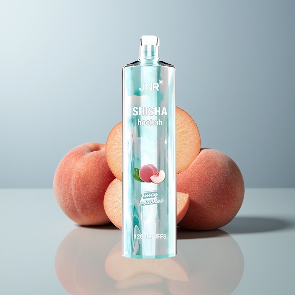 Wholesale Canada JNR Shisha Hookah 12000 Puffs 24ml Juicy Peaches