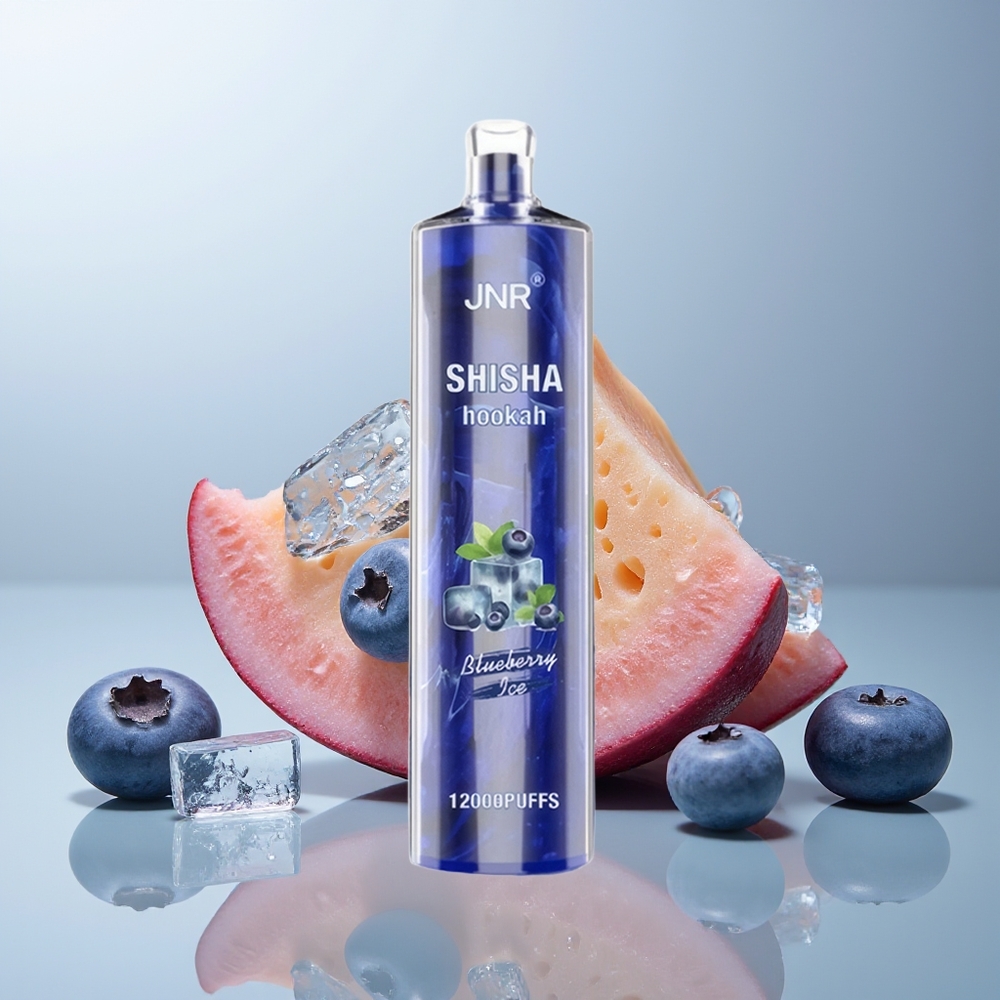Wholesale Canada JNR Shisha Hookah 12000 Puffs 750mAh Blueberry Ice