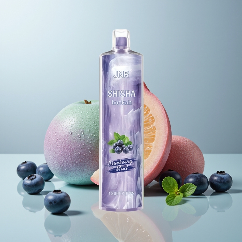Wholesale Canada JNR Shisha Hookah 12000 Puffs 750mAh Blueberry Mint