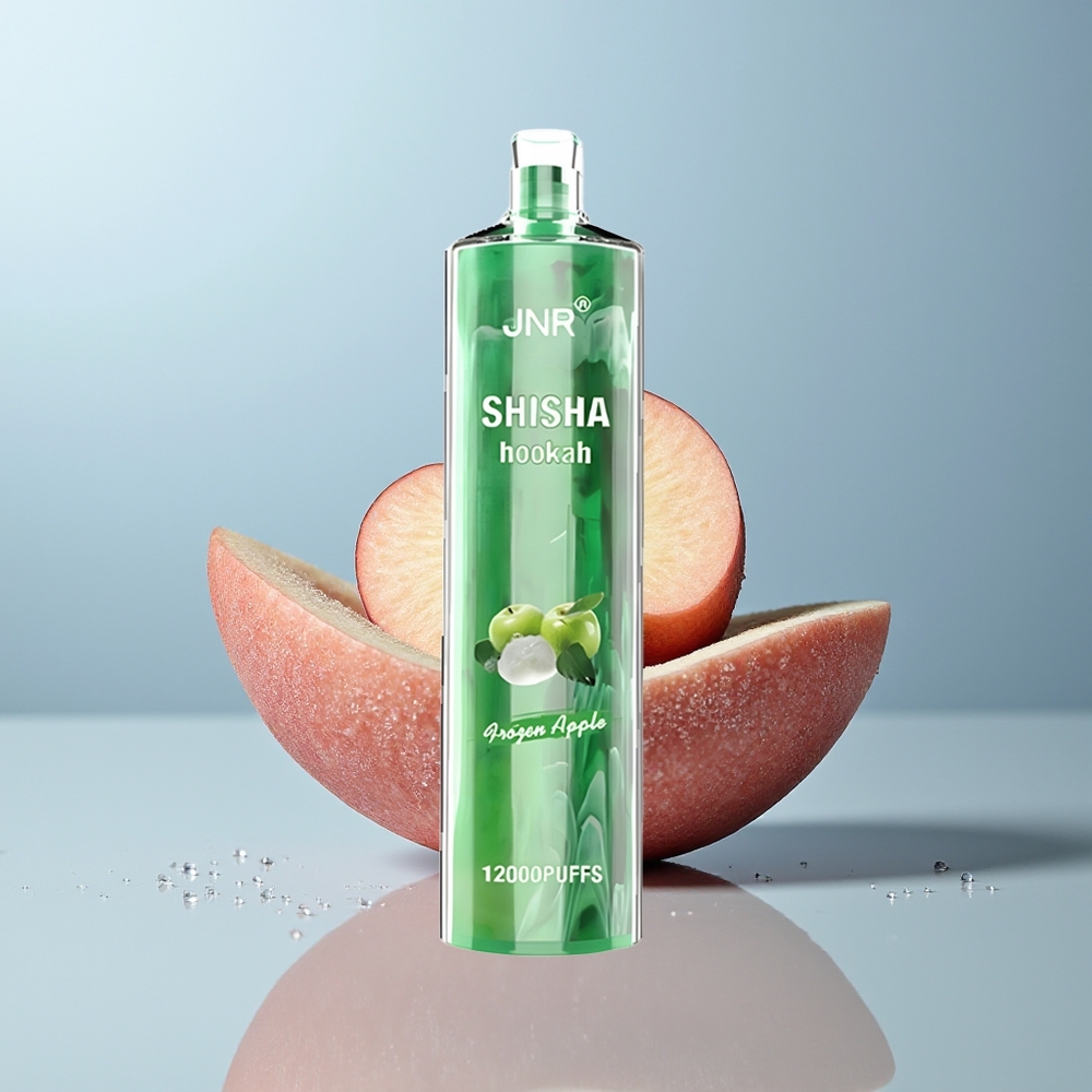 Wholesale Canada JNR Shisha Hookah 12000 Puffs 750mAh Frozen Apple