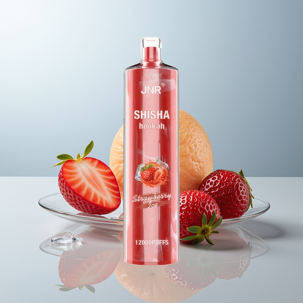 Wholesale Canada JNR Shisha Hookah 12000 Puffs 750mAh Strawberry Ice