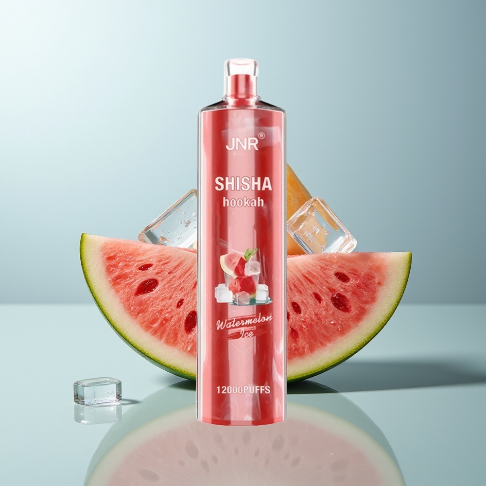Wholesale Canada JNR Shisha Hookah 12000 Puffs 750mAh Watermelon Ice