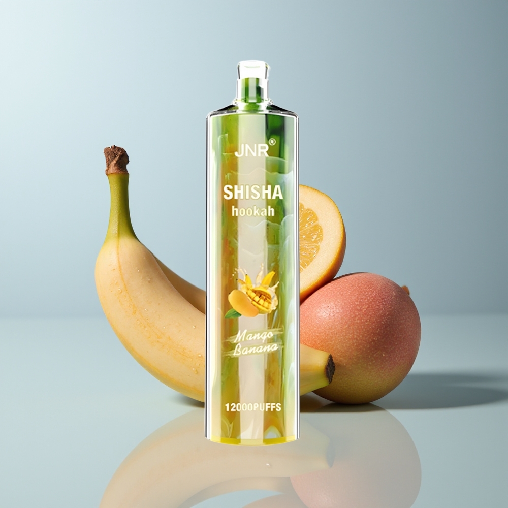 Wholesale Canada JNR Shisha Hookah 12000 Puffs Type-C Fast Charging Mango Banana