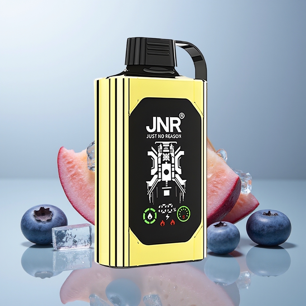 Wholesale Canada JNR Shisha Hookah Box 20500 Puffs Dual Mesh Coil Blueberry Ice