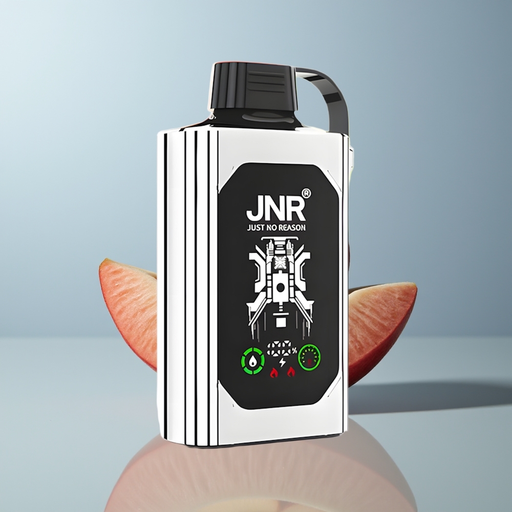 Wholesale Canada JNR Shisha Hookah Box 20500 Puffs Dual Mesh Coil Double Apple