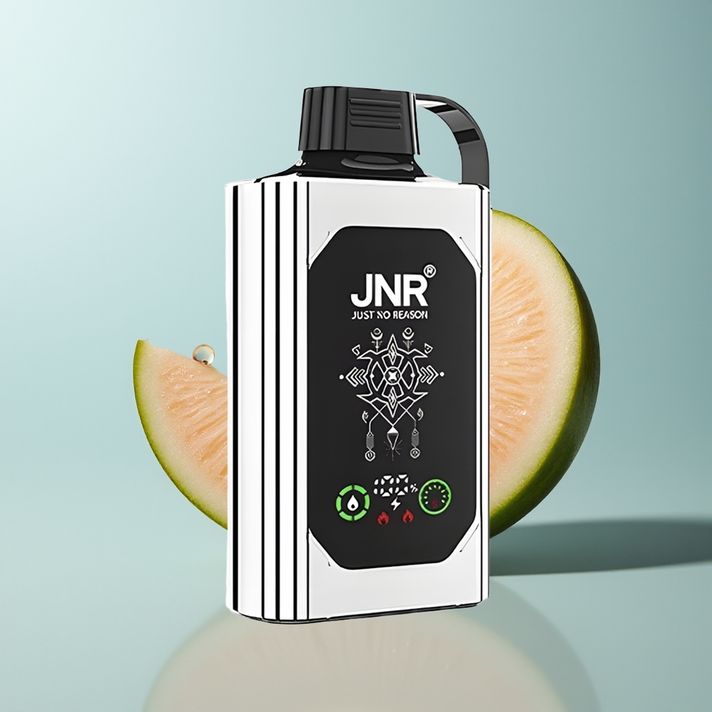 Wholesale Canada JNR Shisha Hookah Box 20500 Puffs Dual Mesh Coil Double Melon Mint