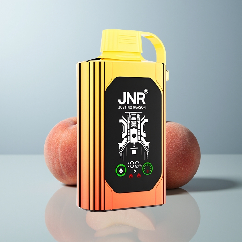 Wholesale Canada JNR Shisha Hookah Box 20500 Puffs Dual Mesh Coil Juicy Peaches